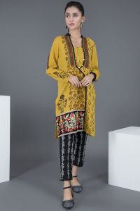 Angrakha Warda Pakistani Designer Winter Shirts & Kurtis Collection