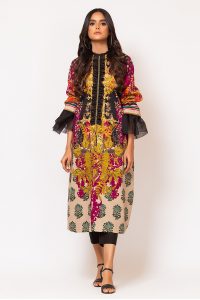 Pakistani Fashion Latest Women Best Winter Dresses Designs