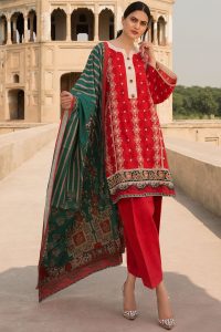 Chikan Kari Latest Women Designer Winter Dresses